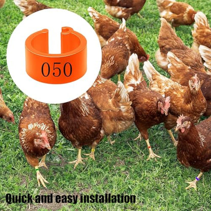 100pcs Foot Bands - 8/10/12mm Poultry Leg Straps, 10 Colors, No. 001-500 Poultry Leg Straps for Chicken, Duck, Pigeon 12 mm (0.47in) 101-200 - color: 12 mm (0.47in)101-200