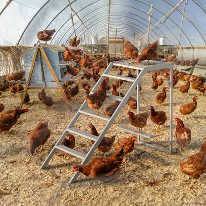 Chicken Coop, Chicken Perches with Swing, Chicken Roosting Bars, Chicken Activity Play Toys, Wooden Chicken Ladder for Pet's Healthy & Happy, Suitable for Backyard Farm