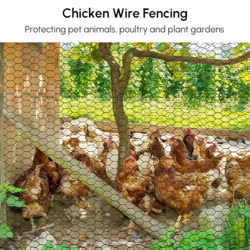 36in x 150ft Chicken Wire, Black Poultry Wire Netting, Hexagonal Galvanized Mesh, Outdoor Anti-Rust Surface Plastic Coating, Garden Fence Animal Barrier for Pet Rabbit Chicken Fencing - size: 36in(H)x150ft(L)