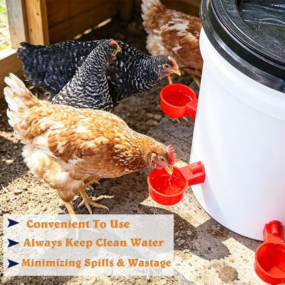 Large Automatic Chicken Waterer Cups, 6pcs Turkey Waterer Feeder for Poultry,Automatic Chicken Watering System, Water Feeder Kit Suitable for Duck, Chicks, Goose, Bunny and Bird