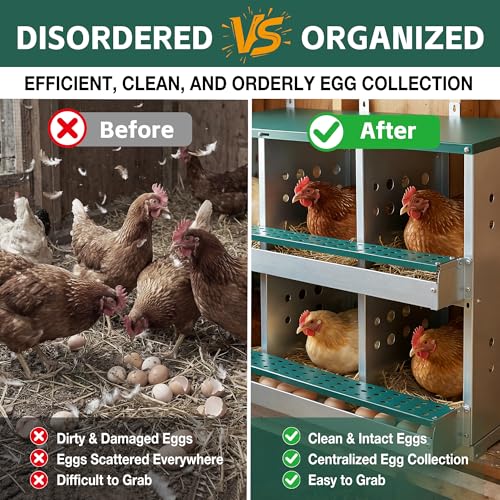 6 Compartments Chicken Egg Nesting Box, Roller Design, Green Metal, 33x16.3x25.6 inches, Wall Mounted, Easy Clean Rust Free Chicken House Egg Box