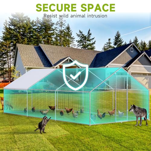 LEVELEVE Large Walk-in Chicken Coop with Chicken Run, Galvanized Poultry Enclosure with Waterproof Anti-UV Cover and Security Lock, Ideal for Rabbit, Duck, Backyard and Farm Yard，26.2'x 9.8'x 6.6' - size: 26.2'L x 9.8'W x 6.6'H
