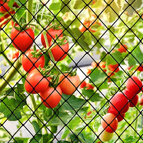 Bird Netting, Garden Netting with 3/4” Mesh Net as Poultry Netting for Chicken Coop, Heavy Duty Nylon Netting for Garden Protection, Fruit Tree Netting for Orchard Against Squirrels, Deer - size: 3/4", 25' x 25'