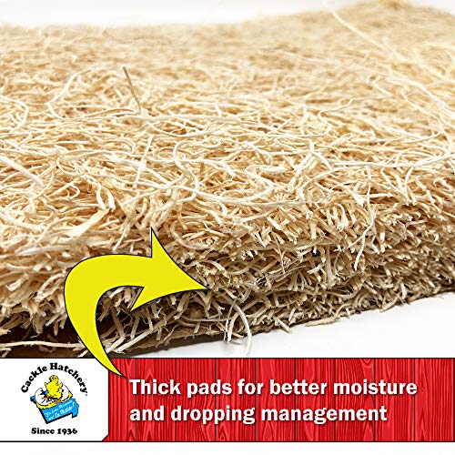 Cackle Hatchery Laying Hen Nest Box Pads Made in USA from Sustainable Aspen Exceslior - 13x13 Nesting Box Liners (12 Pack) - size: 12 Pack