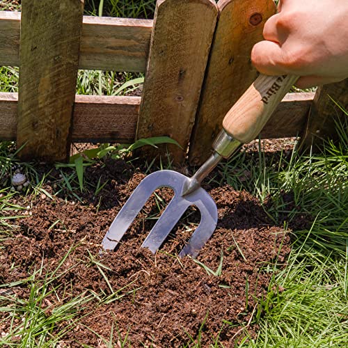 Berry&Bird Gardening Hand Fork, Stainless Steel Hand Weed Fork, Traditional Garden Hand Fork Tool with Ergonomic Ash Wood Handle for Weeding, Digging, Planting and Cultivating - size: 14.1inch
