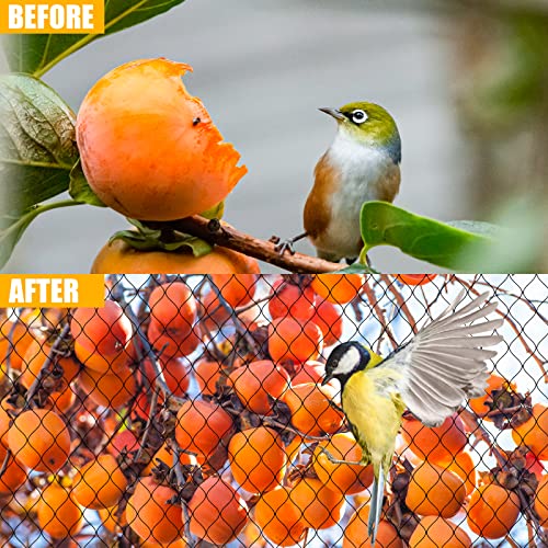 Bird Netting - 50x 50ft Black Poultry Net with 1" Square Mesh Protect Against Rodents Birds, Hawk, Squirrel and Other Animals, Durable & Reusable Anti-Bird Netting use for Fence, Farm & Orchard - size: 50'×50'-1''