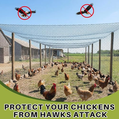 25 x 25 ft Aviary Bird Netting Chicken Netting Commercial Grade Heavy Duty Knotted 1 inch Mesh for Chicken Coops Poultry Blueberries Fruit Trees Net Aviary Garden - size: 25 x 25ft, 1 inches