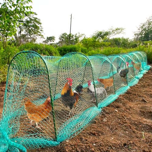 UNIFAMILY Flexible Chicken Tunnels 354 ×31 Inch, Chicken Coop Run, Chicken Tunnel for Yard Outside, Easy Installation Chicken Tunnel Runs Suitable for Chickens, Duck, Rabbit, green