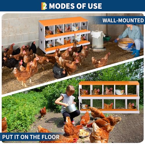 Chicken Nesting Box,10 Holes Galvanized Steel Metal Chicken Laying Box with Automatic Roll-Away Egg Collection System & Removable Tray,Wall Mount Nesting Boxes - color: Orange, size: 10 Holes