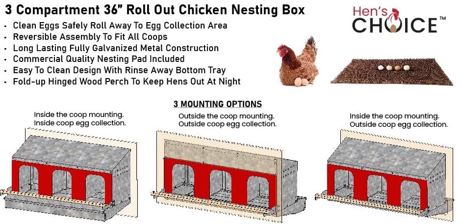 Hen's Choice™ - Roll Out Nest Box for Chickens | Roll Away Nest Box | 3 Compartment 36" | Heavy Duty Galvanized - size: Large 36"