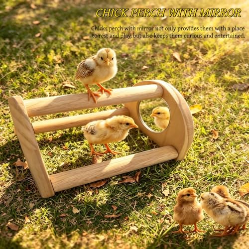 Chick Starter Kit with 75w Heat Lamp, 5-in-1 Baby Chicken Brooder Supplies, Feeder & Waterer Set, Perch with Mirror for Coop Brooder Poultry Duck Quail Bird