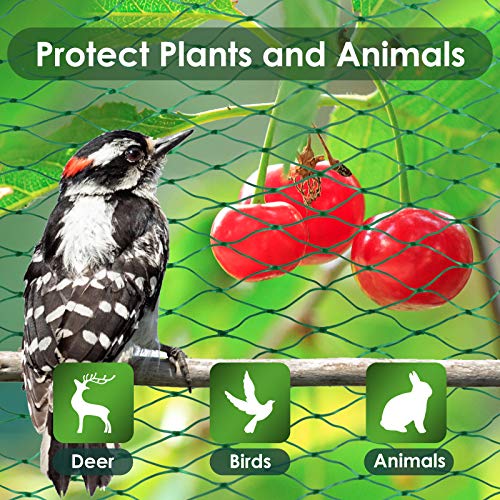 13X65Ft Bird Netting for Garden Protect Vegetable Plants and Fruit Trees,Plastic Trellis Netting for Birds, Deer,Squirrels and Other Animals - size: 13X65