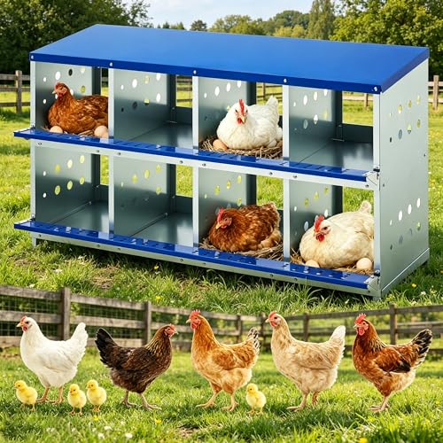 Galvanized Steel Chicken Nesting Box, Big Laying Box for Hens & Ducks, Wall-Mountable, Convenient Egg Collection, Easy Clean, Vented Design for Healthy Flock - color: Blue, size: 8 Compartment