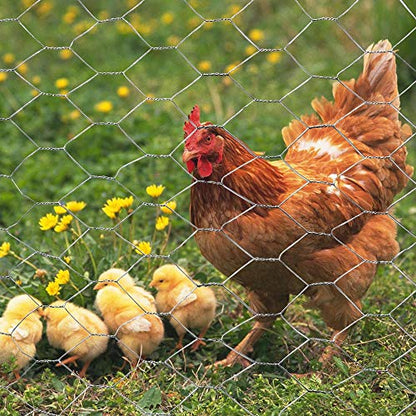 20GA Galvanized Hexagonal Poultry Netting Chicken Wire 60 inches x 150 feet x 2 inches Mesh - size: 60"x150'- 2" 20GA