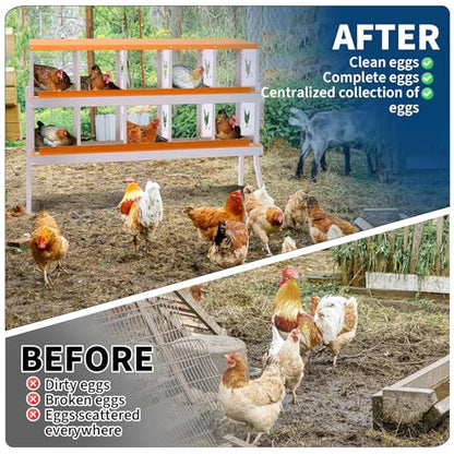 10 Compartment Chicken Nesting Box, Galvanized Steel Metal Laying Box with Removable Tray Roll-Out Egg Collection, Wall Mount Hen Roosting Box, Easy Egg Collection - color: Orange, size: 10 holes with legs