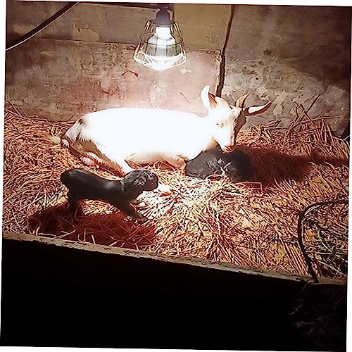 BESPORTBLE 3Pcs Waterproof Heating Lamp Covers Heat-Resistant Bulb Cages for Livestock and Reptile Use Sturdy Protectors Scald Mesh Design