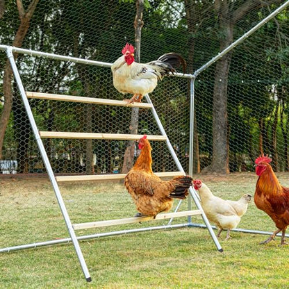 PETSFIT Square Chicken Roosting Perch, Perfect for Backyard Poultry, Chickens Perch for Coop, Easy to Assemble&Clean, Farm Chicken Toys (55" L x 40" W) - size: 55.0"L x 40.0"W x 2.5"H