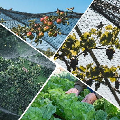 GWHOLE Black Garden Netting, 33 x13 Ft Bird Netting for Garden Plant and Tree Protection, Chicken Coop Pond Net, Black | Bird Net Reusable, 0.6 Inch Mesh Size, Protects Fruits Plants Tree, Protects From Animals, Chicken Coop Pond Net - size: 33x13 ft, 0.6