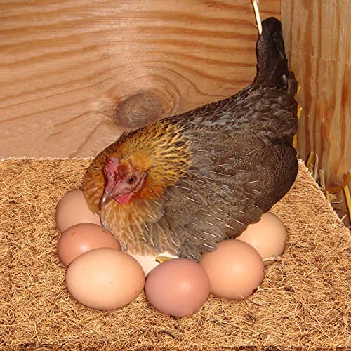 15 Pack 12 x 12 Inch Coconut Fiber Nesting Box Liners, Thickened Chicken Nesting Pads, Chicken Coop Bedding Mats Bulk, Poultry Supplies for Hen Laying Eggs (Brown)