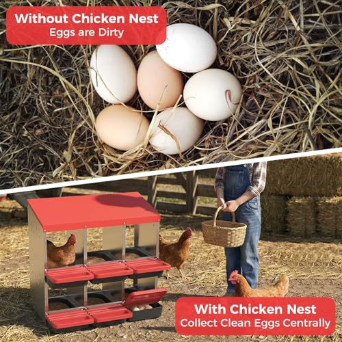Heavy Duty Galvanized Steel Chicken Nesting Box – 6 Holes, Roll Away Egg Laying, Protective Lid, Wall Mounted or Freestanding, Easy Clean, Vented Pegboard Side, Red (Pegboard Side Design) - color: Red, size: 6 Room&Mat Board