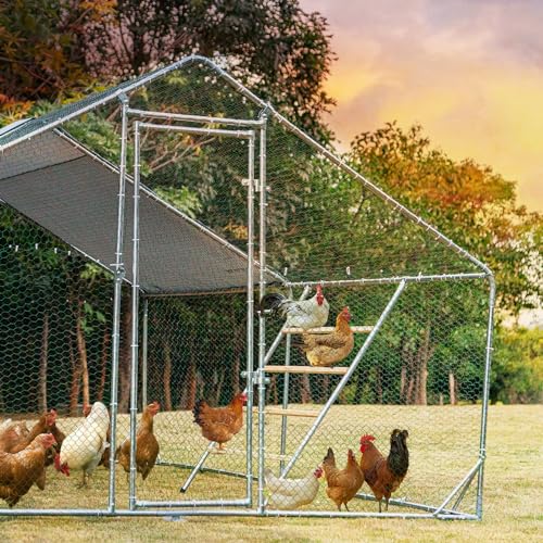 PETSFIT Square Chicken Roosting Perch, Perfect for Backyard Poultry, Chickens Perch for Coop, Easy to Assemble&Clean, Farm Chicken Toys (55" L x 40" W) - size: 55.0"L x 40.0"W x 2.5"H