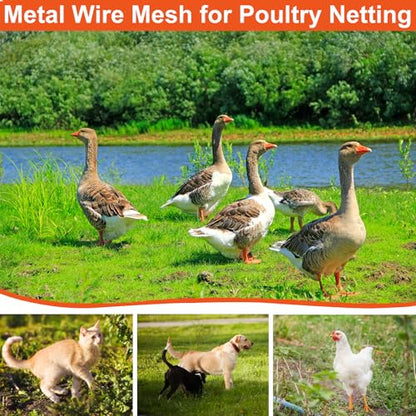 Wire Mesh Roll for Poultry Cages 36IN x50FT- Heavy Duty Fencing Net for Farm Garden Animal Plant Protection, Chicken Wire Fence, Easy to Install Fencing for Rabbits, Birds, Vegetables (Black) - color: Black