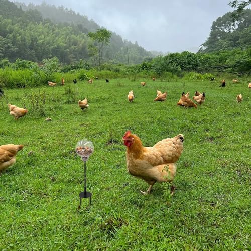 Oooct 4 Pack Chicken Pecking Toys with Swing Feeder, Coop Slow Feeder Toy for Chickens, Chicks, Ducks, Hens, Parrots & Poultry Enrichment - size: 4 Pack