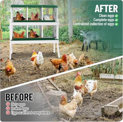 TrailBlaze 6 Compartment Chicken Nesting Box with Metal Legs, Chicken Egg Laying Boxes with Rollout Egg Collection, Large Vented Holes Chicken Coop for Chickens, Hens (Green) - color: Green, size: 6 Holes with Legs
