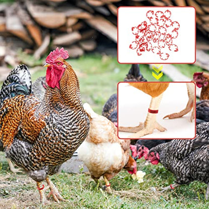 100 Pack Poultry Leg Bands - Durable Numbered Chicken and Duck Identification Rings for Easy Breed Management(Red,2 Packs) - color: Red, size: 2 packs