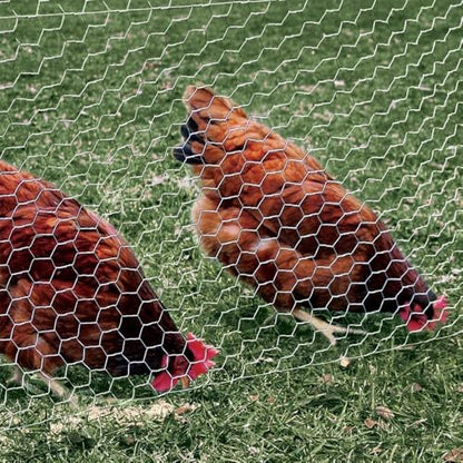 Fencer Wire 20 Gauge Galvanized Poultry Hex Netting with 2 inch Mesh (5ft. x 50ft.) - size: 5 ft. x 50 ft.
