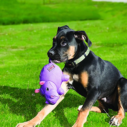 Kong Phatz Pig Dog Toy, Small - size: Small