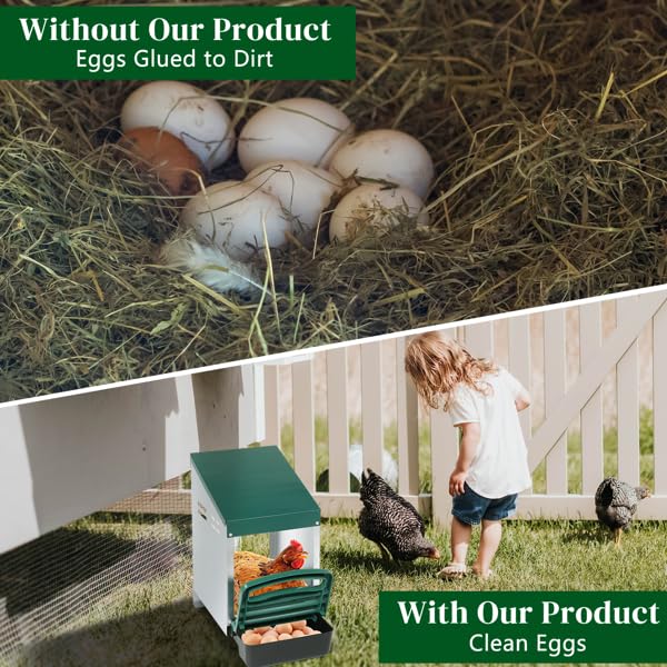 Chicken Nesting Box, Single Compartment Wall Mount Brooder Box with Pull-Out Cleanable Tray, Perch & Easy Egg Collection, 1-Hole Hen Roosting Nest, Green