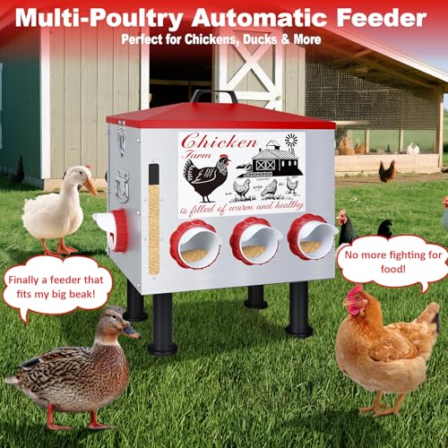 50Lb Automatic Chicken Feeder with Window 10 Port No Waste Rust-Proof Galvanized Steel with Locking Lid & Adjustable Height Legs Waterproof Portable Poultry Feeder for Chickens,Ducks,Geese - size: 50LB