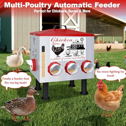 50Lb Automatic Chicken Feeder with Window 10 Port No Waste Rust-Proof Galvanized Steel with Locking Lid & Adjustable Height Legs Waterproof Portable Poultry Feeder for Chickens,Ducks,Geese