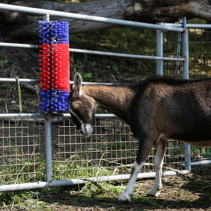 Premier 1 Scratch Brushes for Cattle, Sheep, Goats, Horses & Other Livestock | Durable 2" Stiff Bristles Built to Last | Easily Mounts with Hardware Included (Red/Blue - Large) - style: Red/Blue - Large