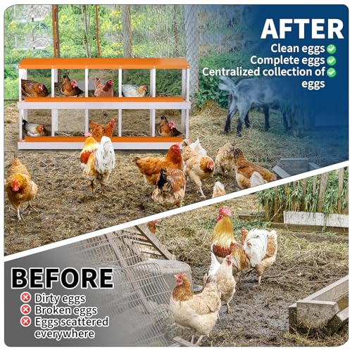 Chicken Nesting Box,10 Holes Galvanized Steel Metal Chicken Laying Box with Automatic Roll-Away Egg Collection System & Removable Tray,Wall Mount Nesting Boxes - color: Orange, size: 10 Holes