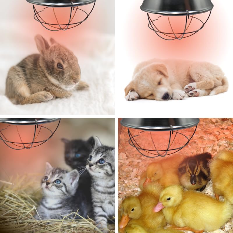 IVS 250W Bulb Infrared Halogen Lamp Holder - Livestock Heating Equipment | 14.5” x 8.5” Durable Heat Lamp - Safe Piglets Poultry Small Chicks Equipment