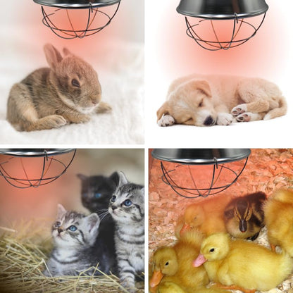 IVS 250W Bulb Infrared Halogen Lamp Holder - Livestock Heating Equipment | 14.5” x 8.5” Durable Heat Lamp - Safe Piglets Poultry Small Chicks Equipment