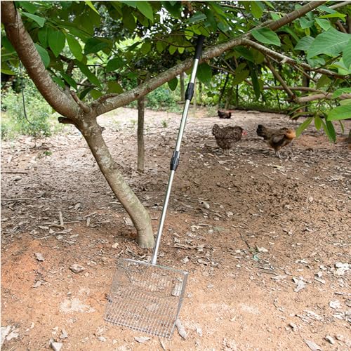 2-in-1 Chicken Poop Scooper with Rake – Adjustable Stainless Steel Handle (36"-62"), Heavy-Duty Sand Sifter & Litter Scoop for Chicken Coop, Duck Pen, Rabbit Hutch