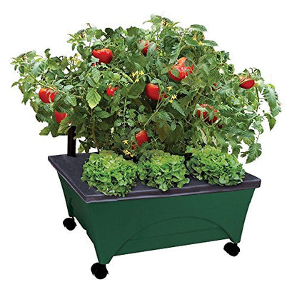 Emsco Group 2341-1HD City Picker Raised Bed Self Watering and Improved Aeration – Mobile Unit with Casters-Hunter Green Grow Box and Seed Starter