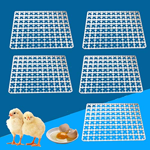 YIYIBYUS Portable 5pcs 88 Eggs Incubator Tray, Chicken Duck Tray Egg Hatcher Storage Container for Home Farm Nestling Hatching