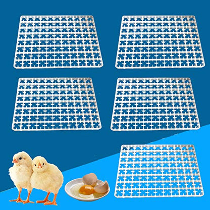 Gdrasuya10 5pcs Egg Hatching Incubator Trays Chicken Quail Pheasant Duck Turkey Eggs Holder 88-Egg Egg Crate Plastic Container Egg Breeding Tray
