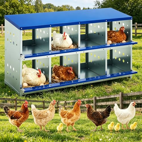 Heavy-Duty Galvanized Steel Chicken Nesting Box