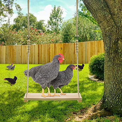 Swing Toys Xylophone, 2pcs Chicken Toys for Poultry Run, Rooster Hens Chicks Pet Parrots Macaw Entertainment, Stress Relief for Birds - size: 2pcs Chicken Swing Toys Set