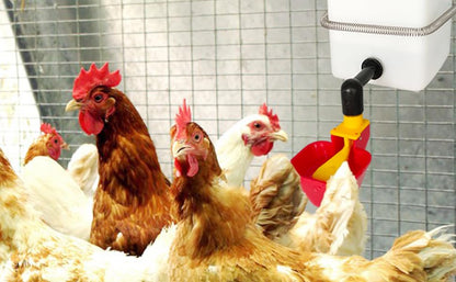 C Automatic Waterer System Chick Drinker Cups 1L Hanging Automatic Fill Poultry Watering Cup Used for Cages (red, 1)