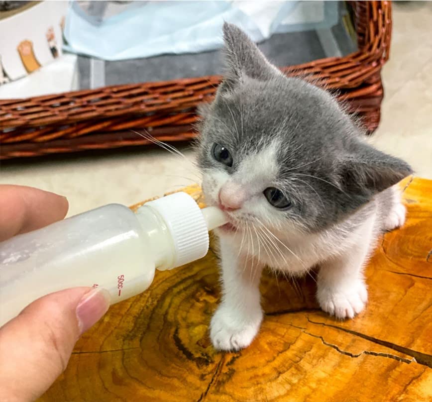 15 Pcs Pet Feeding Bottle Nipple, Baby Cat Milk Nipples Dog Silicone Nipple Feeding Nursing Bottle Nipple for Dog Puppy Cat Kitten
