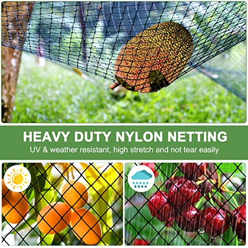 Bird Netting - Heavy Duty Nylon Net with 3/4' Mesh for Garden Protection, Chicken Coop and Orchard - size: 3/4", 25' x 50'