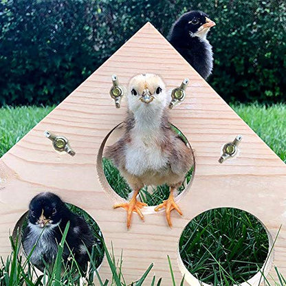 Chicken Perch Wood Stand with Holes Chick Stand Trainning Perch Hen Roost bar for Chicks Poultry Swing Chicken Toy for Hens