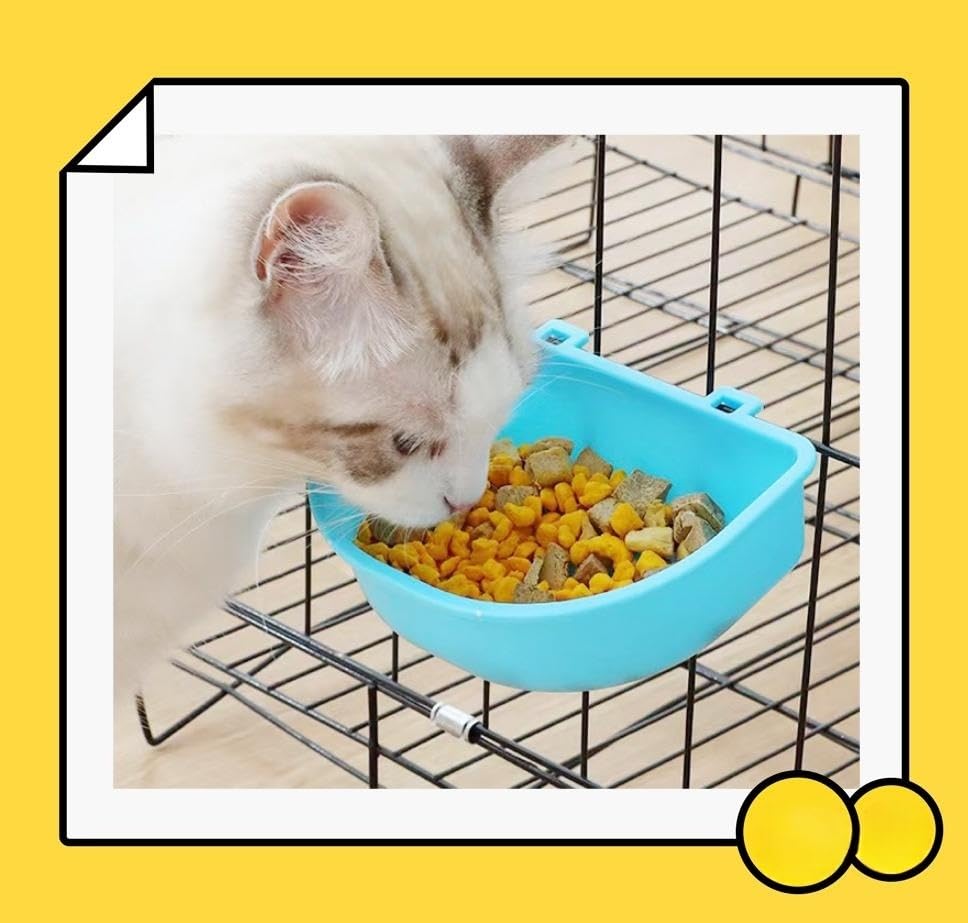 2 PcsRabbit Food Water Bowl, Guinea Pig Plastic Food Basin Dish, Chinchilla Hanging Portable Feeding Bowl (Pink and Blue)