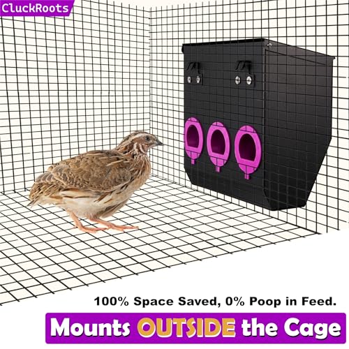 CluckRoots No Waste Quail Feeder, 1.5’’ Port for Adult Japanese Coturnix Quail Jumbo Pharaoh, Outside-Hanging 3-Port Feeder - No Mess No Spill, Space-Saving Metal Feeder for Wire Mesh Cage Hutch Pen - size: 8 Inch